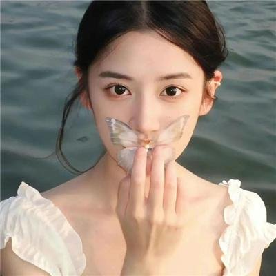 梧桐叶里思星辰